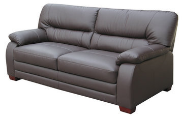 Fm101 Modern Leather Sofa
