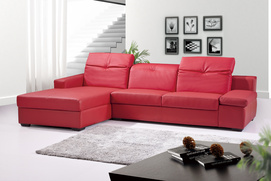 Living Room Sofa