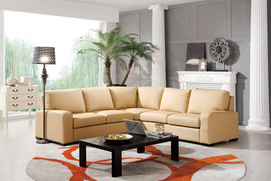 Living Room Sofa