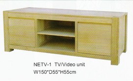 NETV-1 TV/Video Unit