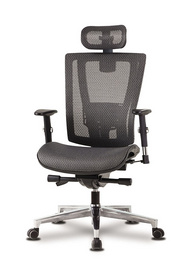 Cruise Executive All mesh chair with lumbar support