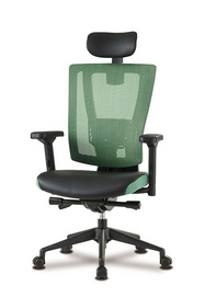 Cruise Executive mesh chair with lumbar support