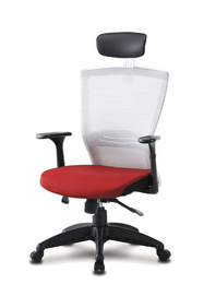 Jangsoo  mesh chair with lumbar support