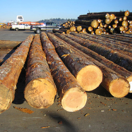 Global Sawlog Price Index (GSPI)