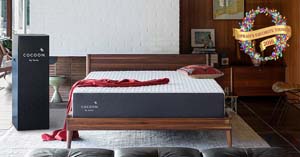 Sealy Cocoon mattress