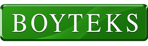 BoyteS.Logo