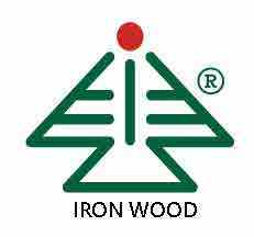 IRON TDLogo