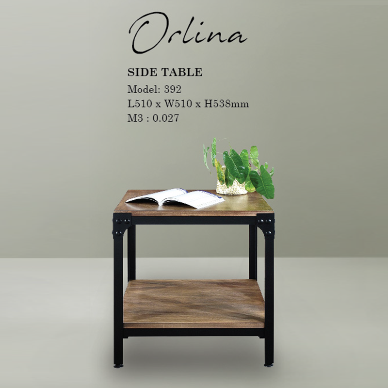 Orlena  table 392-test