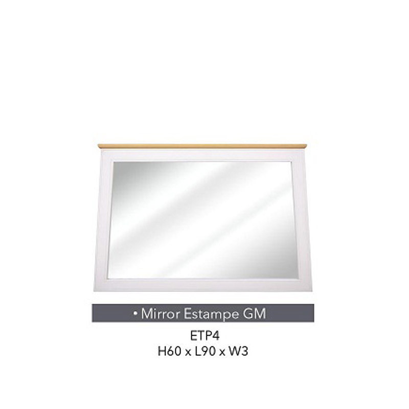MirrorMirror-test