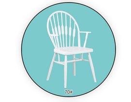 Plastic Dining Chair 70#