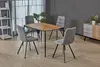 Dining room Dining Chair TC-1963