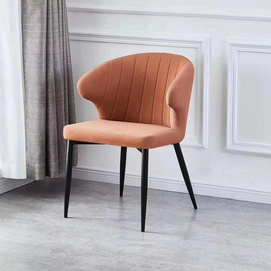 Modern Fashionable Dining Chair #1507