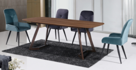 DINING TABLE-T1723