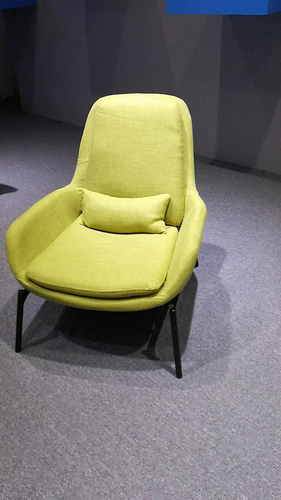 Modern Leisure Chair