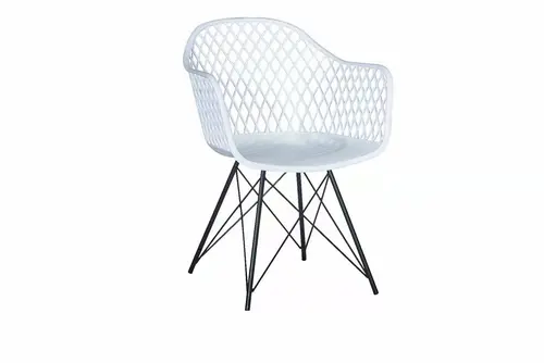 leisure plastic chair