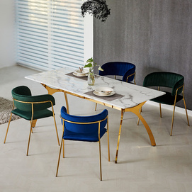 RIS Dining TableC + Gold Chair