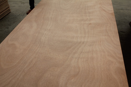 Okoume Plywood