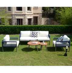Elegant Luxury All Weather Sofa Set Design For Garden  PAS-1903