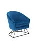 Modern armchair/leisure chair/living room leisure chair