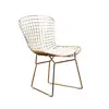 Golden modern luxury style metal chairs for dining room and out door use furniture