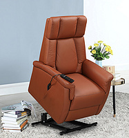 Lift chair with two motors LN6491