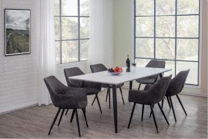 TB9221+CH9221 DINING SET