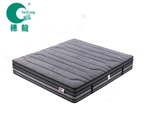 Hot Style Mattress Wholesale Mattress Online Mattress (SL2008)