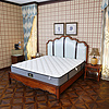 Hot Sell Customized New Design Beautiful Mattress (SL2016)