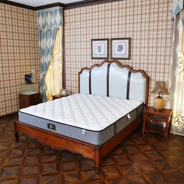 Hot Sell Customized New Design Beautiful Mattress (SL2016)