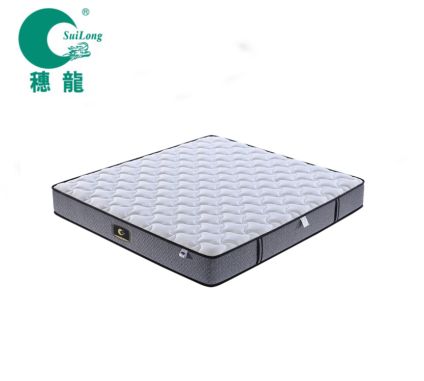 Hot Sell Customized New Design Beautiful Mattress (SL2016)