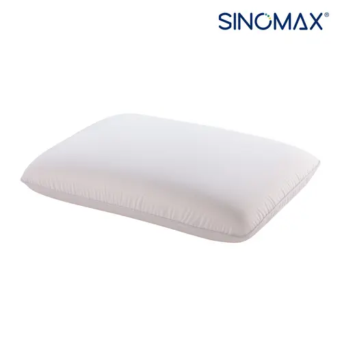 Popular Traditional Memory Foam Pillow