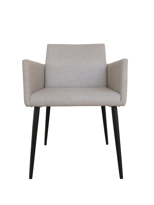 Modern Stylish Creative Dining Chair DC181W