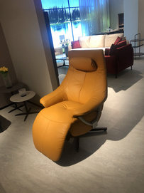 Modern Fashionable Leisue Recline Chair