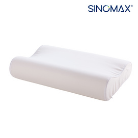 Popular Contour Memory Foam Pillow