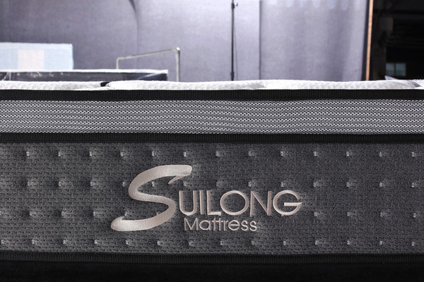 Hot Style Mattress Wool Latex Double Pocket Spring Mattress (SL2009)