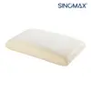 Popular Traditional Memory Foam Pillow