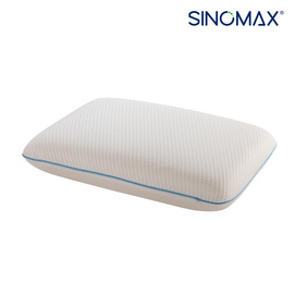 Trational Tencel Pillow