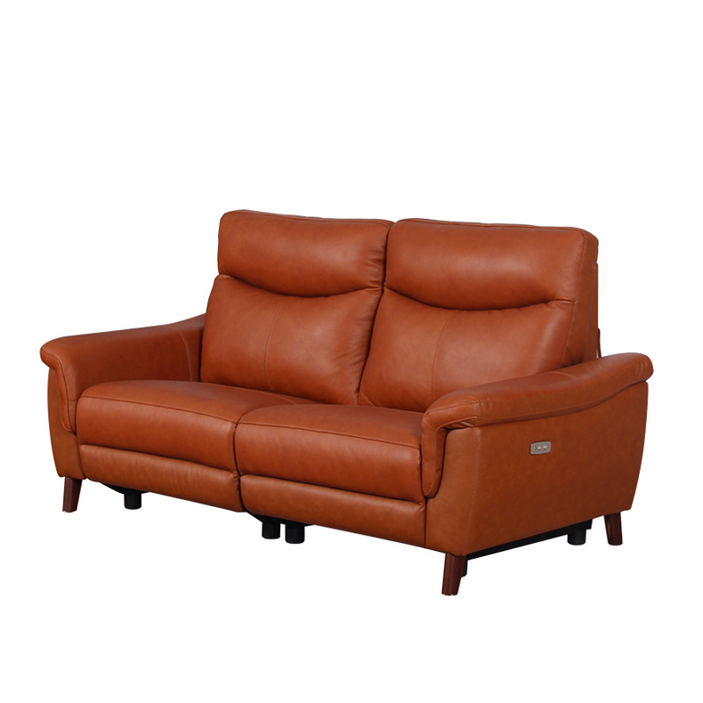 9527A1 Function sofa