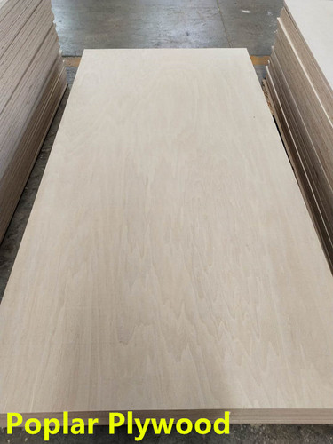 Bleached Poplar Plywood