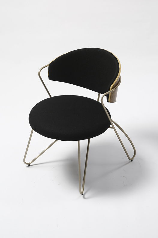 SOPHIA ARM CHAIR(DC-1329)