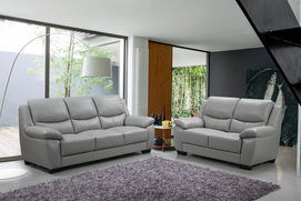 Promotion Leather Sofa