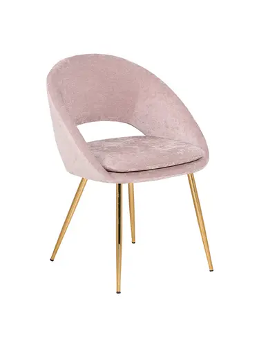 Modern Stylish Dining Chair