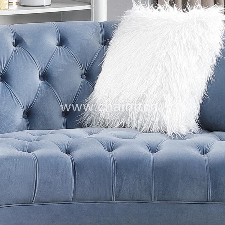 Luxury furniture sofa set