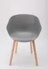 HP-20W Leisure Chair