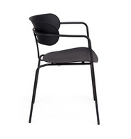 LEISURE CHAIR (AFM2433)