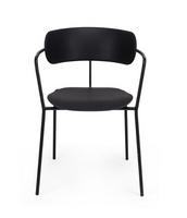 LEISURE CHAIR (AFM2433)