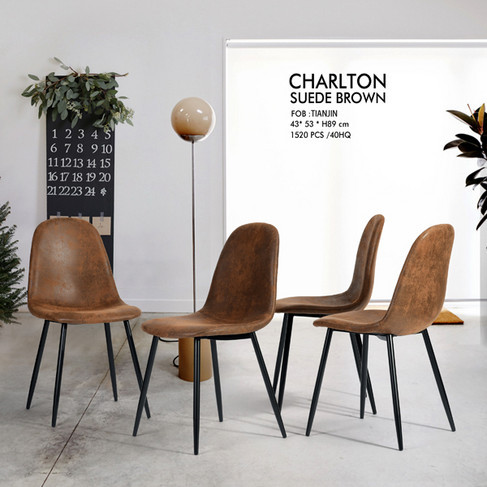 Modern Minimalist Dining Chair  FLYER-01