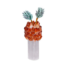 Irregular Unique Shaped Flower Vase