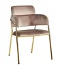gold chromed frame modern dining chair leisure chair