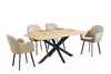 MDF with paper metal legs dining table